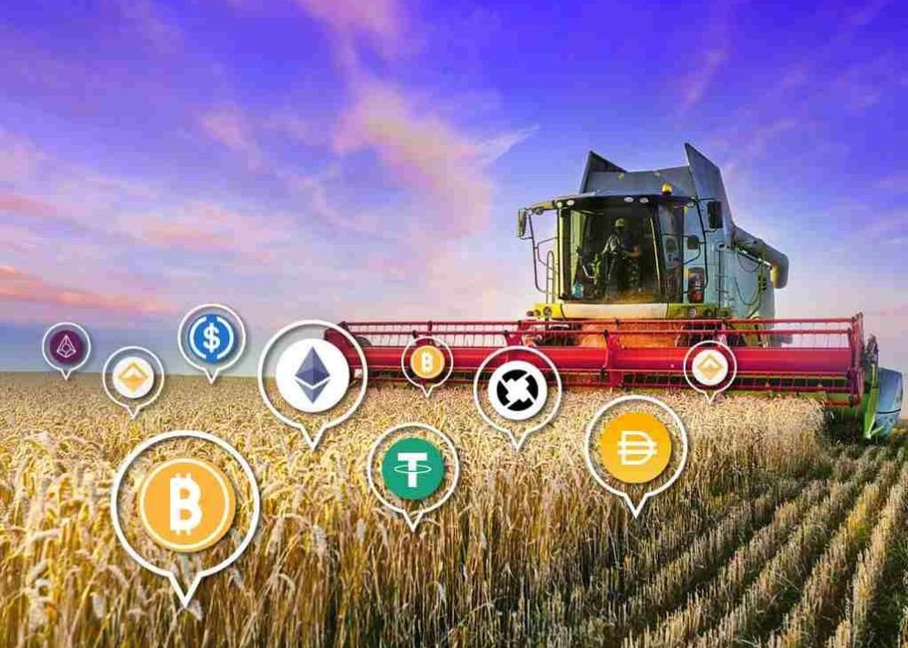 Yield Farming Crypto